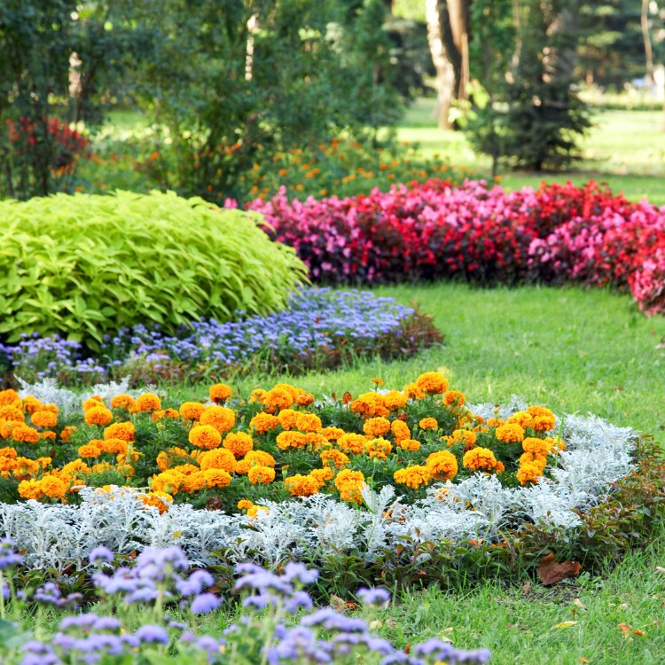 Gardening and Landscaping in Humboldt, IA