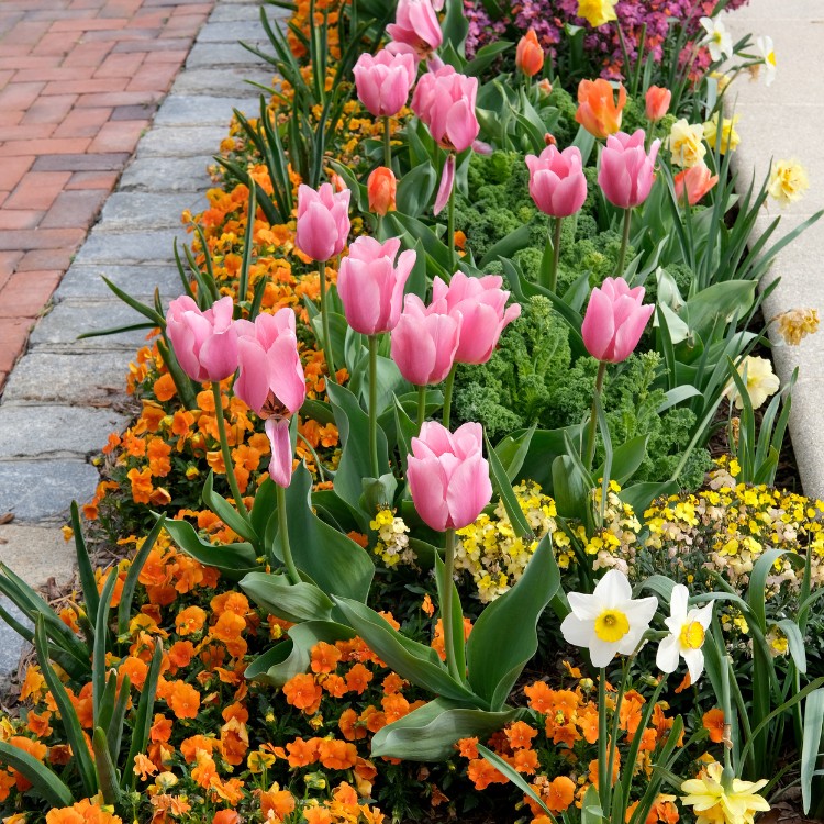 Gardening and Landscaping in Humboldt, IA